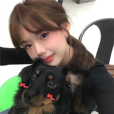 高冷裴总的追妻日常